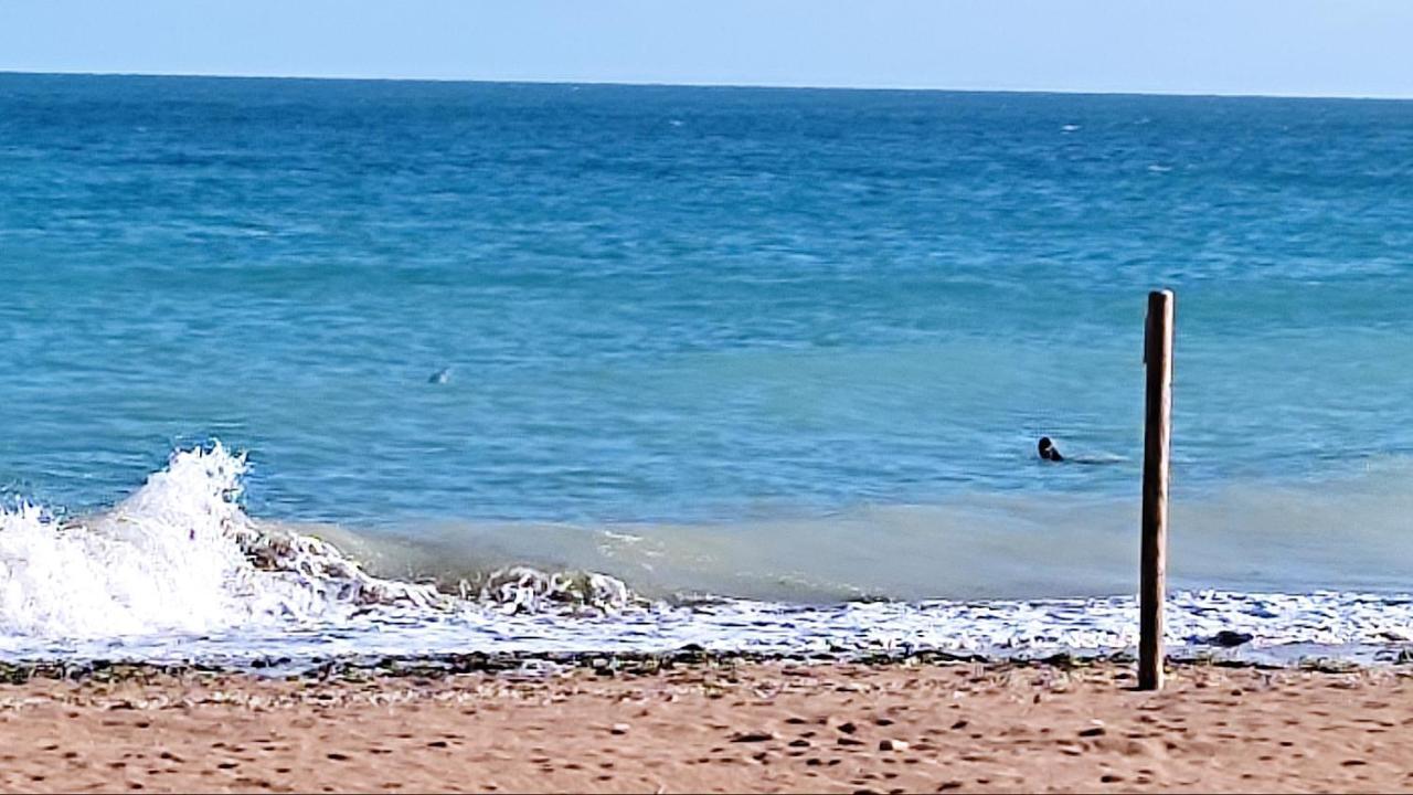 Chez Chon Et Jean-Marie Lejlighed Hermanville-sur-Mer Eksteriør billede