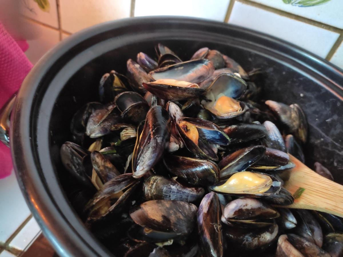 Chez Chon Et Jean-Marie Lejlighed Hermanville-sur-Mer Eksteriør billede