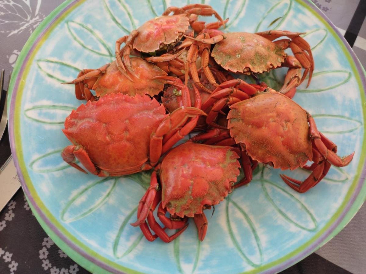 Chez Chon Et Jean-Marie Lejlighed Hermanville-sur-Mer Eksteriør billede